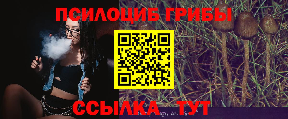 Галлюциногенные грибы Psilocybe Ливны