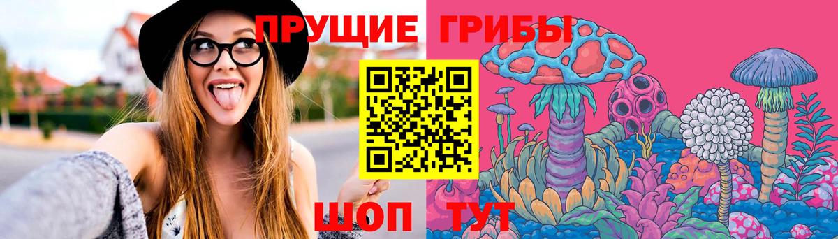 Ливны  Псилоцибиновые грибы Cubensis  Вход с VPN 